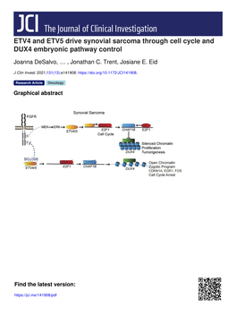 ETV4 and ETV5 Drive Synovial Sarcoma Through Cell Cycle and DUX4 Embryonic Pathway Control