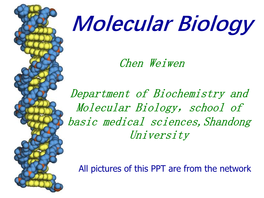 Biosynthesis of RNA(Transcription)