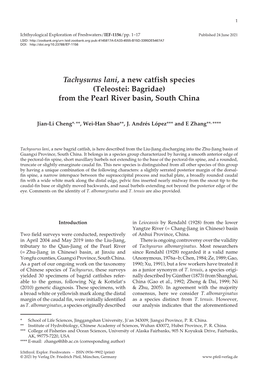 Tachysurus Lani, a New Catfish Species (Teleostei: Bagridae) from the Pearl River Basin, South China