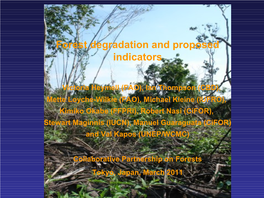 Forest Degradation and Proposed Indicators