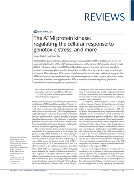 The ATM Protein Kinase: Regulating the Cellular Response to Genotoxic Stress, and More