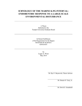 Ichnology of the Marine K-Pg Interval: Endobenthic Response to a Large-Scale Environmental Disturbance