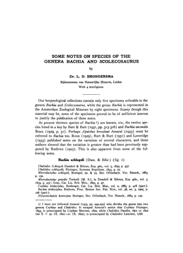 Some Notes on Species of the Genera Bachia and Scolecosaurus