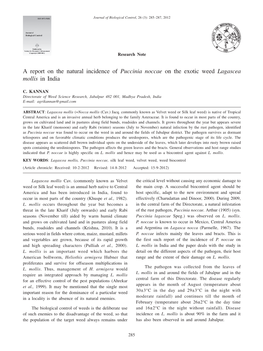 A Report on the Natural Incidence of Puccinia Noccae on the Exotic Weed Lagascea Mollis in India