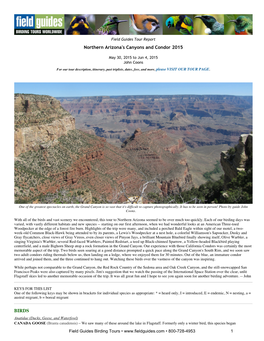 Northern Arizona's Canyons and Condor 2015 BIRDS
