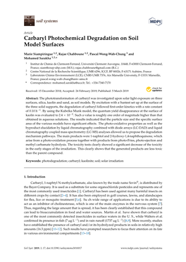 Carbaryl Photochemical Degradation on Soil Model Surfaces