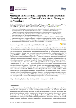 Microglia Implicated in Tauopathy in the Striatum of Neurodegenerative Disease Patients from Genotype to Phenotype