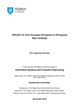 86266-Rui-Ferreira-Dissertation.Pdf