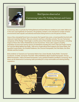 Currawong Lakes Tasmania– List of Observed Bird Species 2013