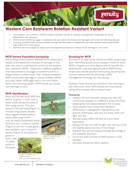 Western Corn Rootworm Rotation-Resistant Variant