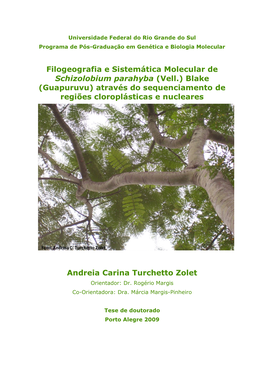 Filogeografia E Sistemática Molecular De Schizolobium Parahyba (Vell.) Blake (Guapuruvu) Através Do Sequenciamento De Regiões Cloroplásticas E Nucleares