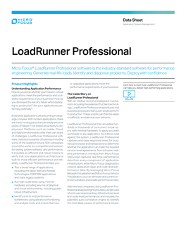 Loadrunner Professional