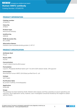 Human HINT2 Antibody Catalog Number: ATGA0378