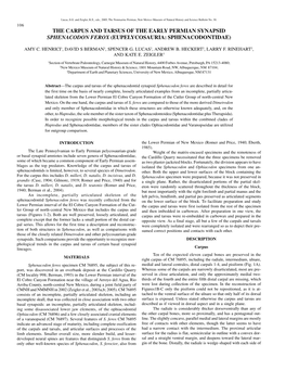 The Carpus and Tarsus of the Early Permian Synapsid Sphenacodon Ferox (Eupelycosauria: Sphenacodontidae)