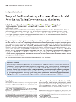 Temporal Profiling of Astrocyte Precursors Reveals Parallel Roles for Asef During Development and After Injury