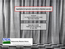 Application of Genome Assembly to Bovidae Species