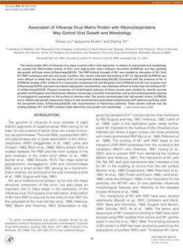 Association of Influenza Virus Matrix Protein with Ribonucleoproteins May Control Viral Growth and Morphology