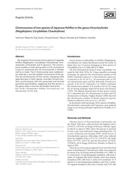 Regular Article Chromosomes of Two Species of Japanese Fishflies in The