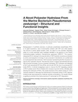 A Novel Polyester Hydrolase from the Marine Bacterium Pseudomonas Aestusnigri – Structural and Functional Insights