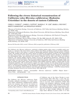 Following the Rivers: Historical Reconstruction of California Voles Microtus Californicus (Rodentia: Cricetidae) in the Deserts of Eastern California