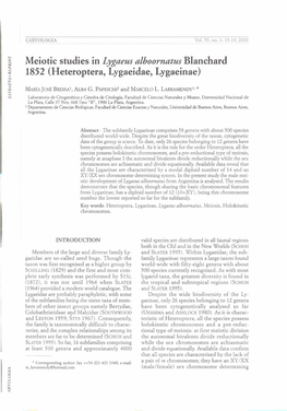 Meiotic Studies in Lygaeus Ulboornatus Blanchard 1852