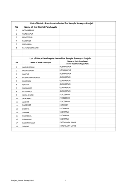 Punjab Sample Survey (1).Xlsx