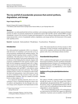 The Rise and Fall of Anandamide: Processes That Control Synthesis, Degradation, and Storage