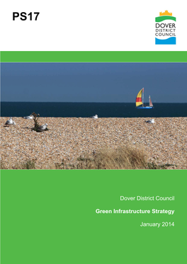 Green Infrastructure Strategy