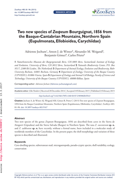 ﻿Two New Species of Zospeum Bourguignat, 1856 from the Basque