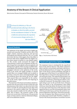 Anatomy of the Breast: a Clinical Application 1 Moustapha Hamdi, Elisabeth Würinger, Ingrid Schlenz, Rafic Kuzbari