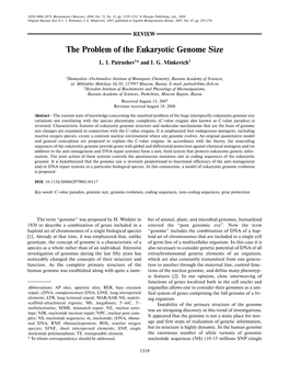 The Problem of the Eukaryotic Genome Size