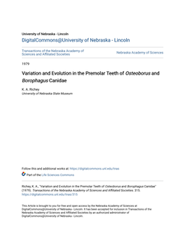 Variation and Evolution in the Premolar Teeth of Osteoborus and Borophagus Canidae