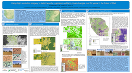 Using High Resolution Imagery to Detect Woody Vegetation and Land