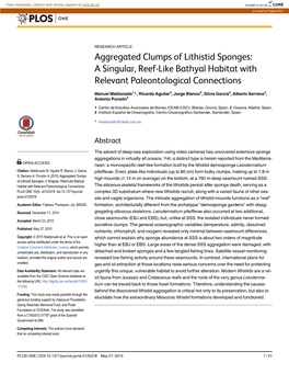 Aggregated Clumps of Lithistid Sponges: a Singular, Reef-Like Bathyal Habitat with Relevant Paleontological Connections