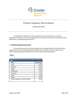 Cultural Competency Plan Evaluation