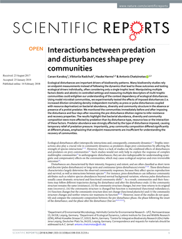 Interactions Between Predation and Disturbances Shape Prey Communities