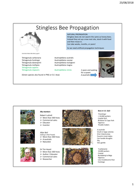 Stingless Bee Propagation