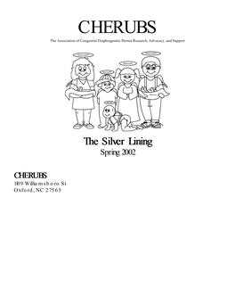 Spring 2002 Silver Lining CDH Newsletter