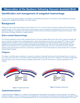 Observation of the Newborn Following Vacuum Assisted Birth Identification and Management of Subgaleal Haemorrhage