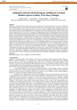 Adaptation and Growth Performance of Different Lowland Bamboo Species in Bako, West Shoa, Ethiopia