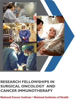 Research Fellowships in Surgical Oncology and Cancer Immunotherapy