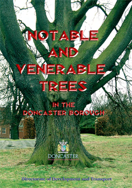 Notable and Venerable Trees 3