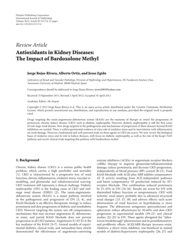 Antioxidants in Kidney Diseases: the Impact of Bardoxolone Methyl