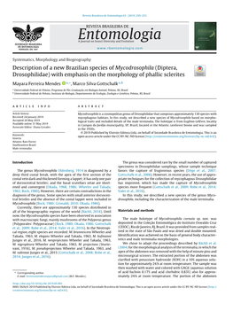 Description of a New Brazilian Species of Mycodrosophila (Diptera