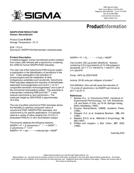 Cytochrome P450 Reductase Human