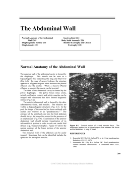 The Abdominal Wall