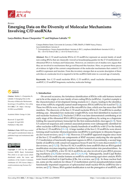 Emerging Data on the Diversity of Molecular Mechanisms Involving C/D Snornas