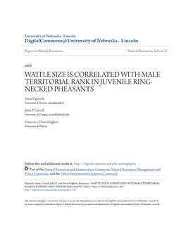 WATTLE SIZE IS CORRELATED with MALE TERRITORIAL RANK in JUVENILE RING- NECKED PHEASANTS Anna Papeschi Universita Di Firenze, Dessi@Unifi.It