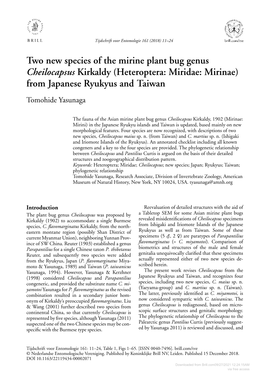 Two New Species of the Mirine Plant Bug Genus Cheilocapsus Kirkaldy (Heteroptera: Miridae: Mirinae) from Japanese Ryukyus and Taiwan Tomohide Yasunaga