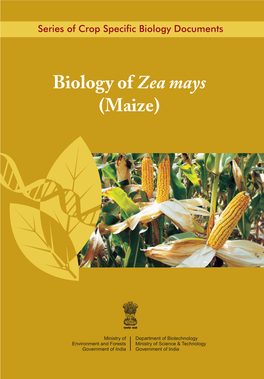 Biology of Zea Mays (Maize)